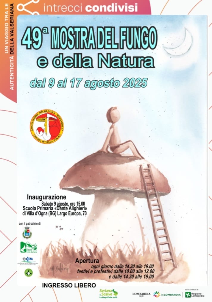 Rivista 2025
