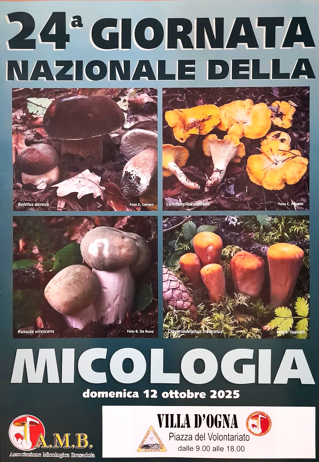 24ª Giornata Nazionale della Micologia a Villa d'Ogna