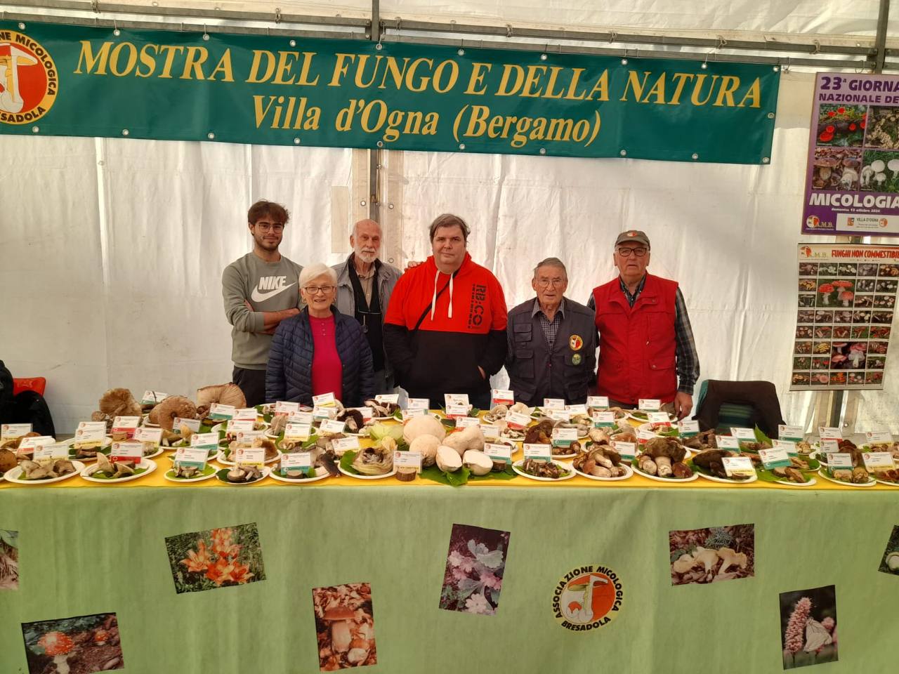 Il gruppo micologico durante un'escursione