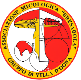 Logo Associazione Micologica Bresadola - Villa d'Ogna