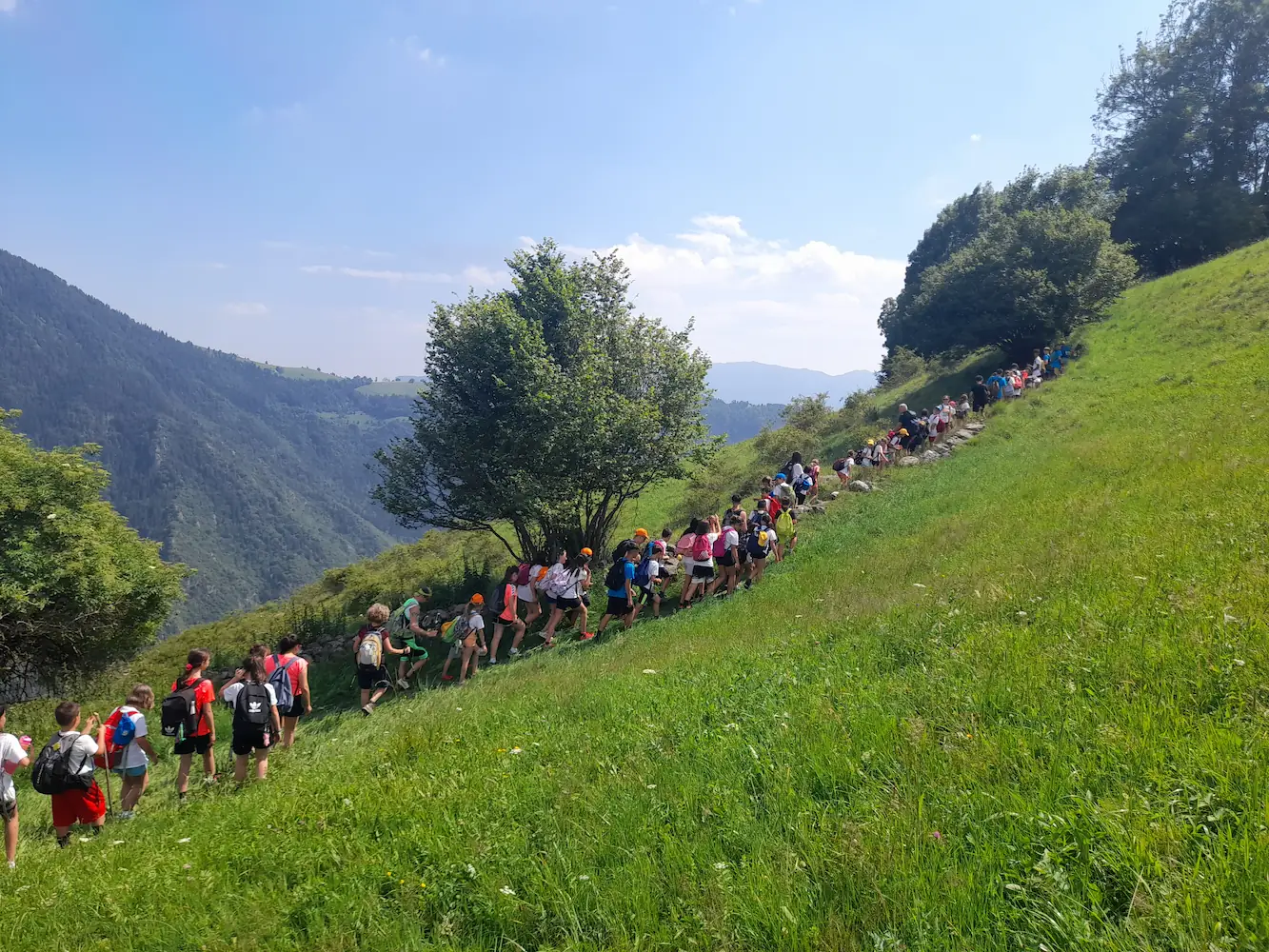 Escursione guidata nel bosco