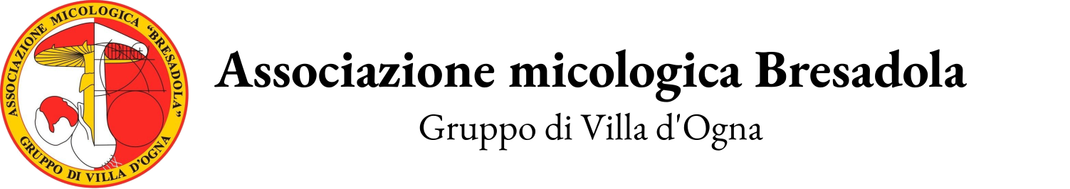 Logo Associazione Micologica Bresadola - Gruppo di Villa d'Ogna